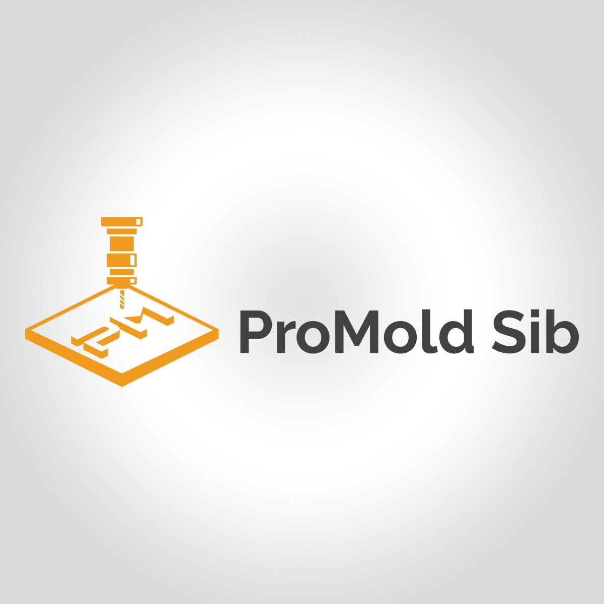 Realizare logo Promold Sib